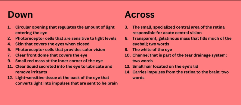 partsoftheeyecrosswords