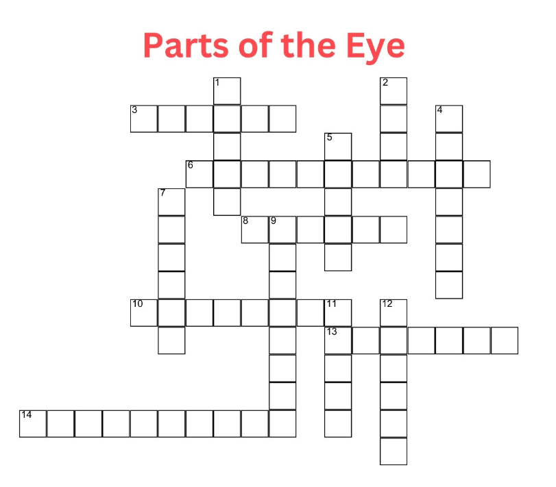 partsoftheyecrossword